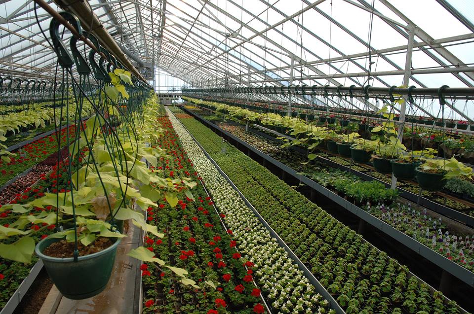 PUBLIC INVITED TO 2018 EARTH DAY CELEBRATION AT LAKEWOOD